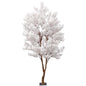 White Sakura Blossom Tree (2.8m)