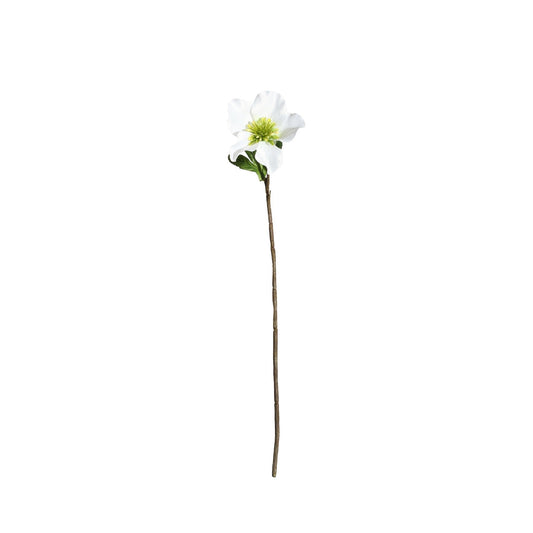 Botanica White Rose (49cm)