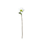 Botanica White Rose (49cm)