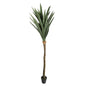 Botanica Yucca Tree in Pot (225cm)