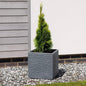Small evergreen tree in a textured gray square planter on a gravel garden patio