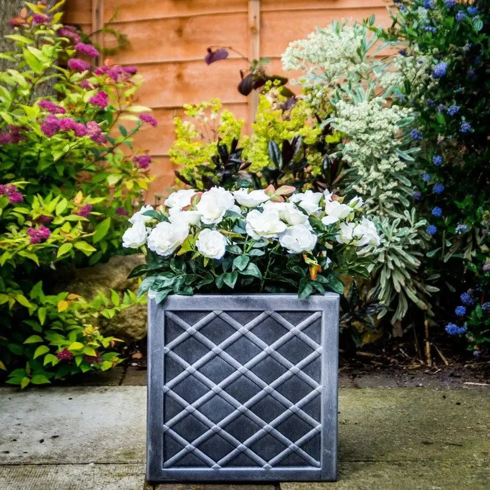 Square grey lattice planter with white roses in a colorful garden setting