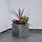 Modern square outdoor planter with geometric lattice pattern and mixed foliage plants on patio