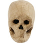 Papier Mache Skull