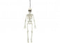 Hanging Skeleton Decoration (40cm)