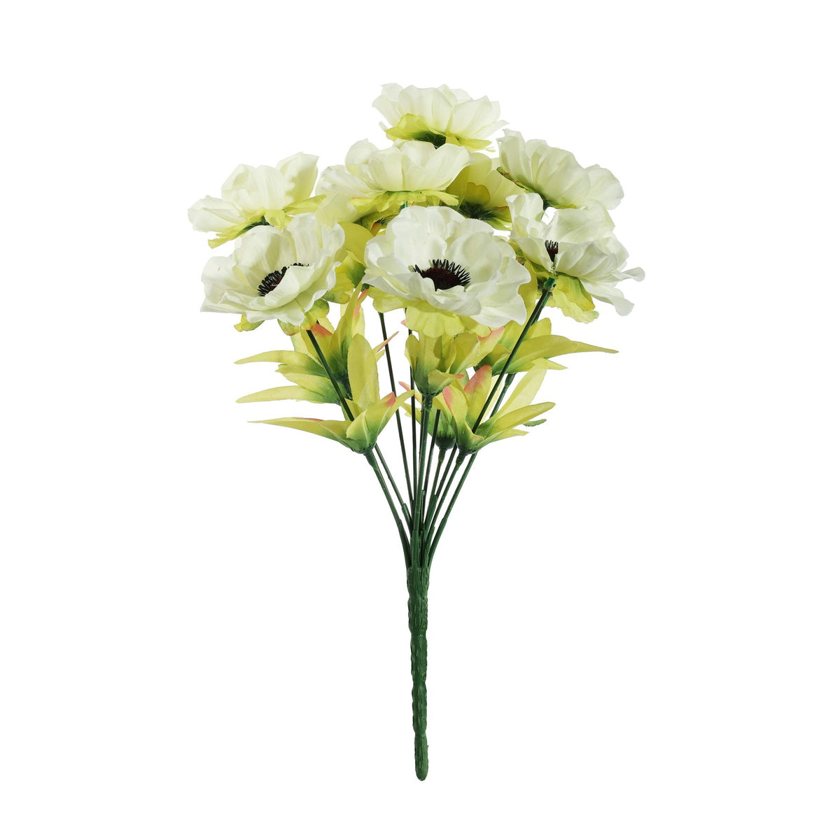 Discover the Pembroke Cream Anemones Mixed Bush (12 Stems) at Bristow Direct