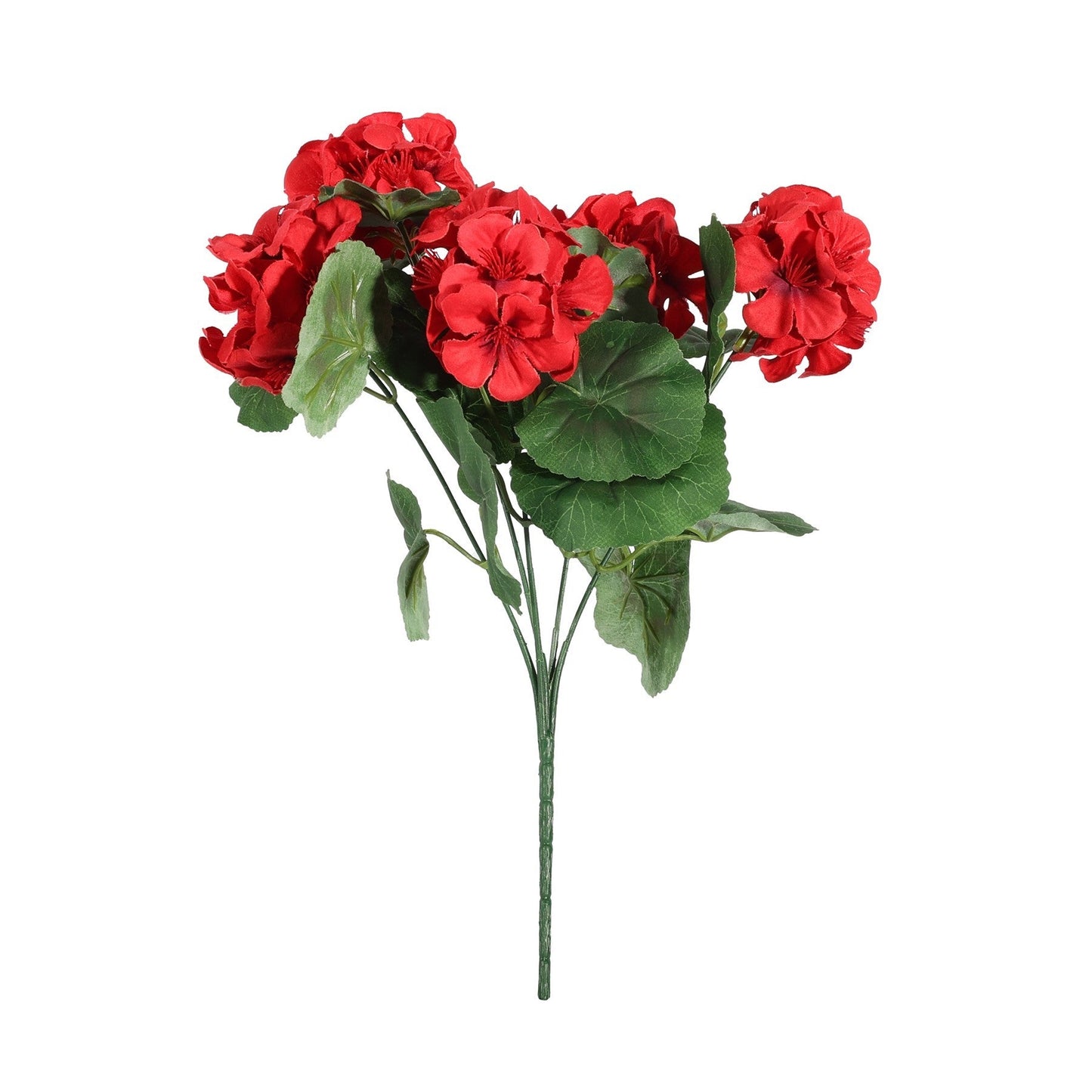 Geranium Red Bush (15cm)