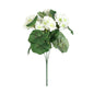 Geranium White Bush (5cm)