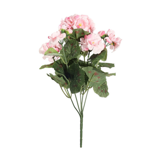 Geranium Pink Bush (10cm)
