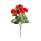 Geranium Red Bush (10cm)