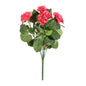 Essentials Dark Pink Geranium Bush - 7 Stems (40cm)