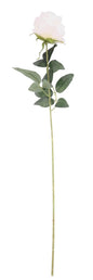 Essential Cream Arundel Rose (70cm)