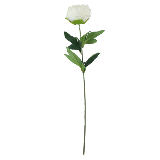 Discover the Essential Ivory Arundel Garden Peony (57cm) at Bristow Direct