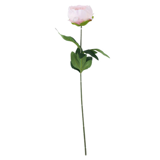 Discover the Essential Light Pink Arundel Garden Peony (57cm) at Bristow Direct