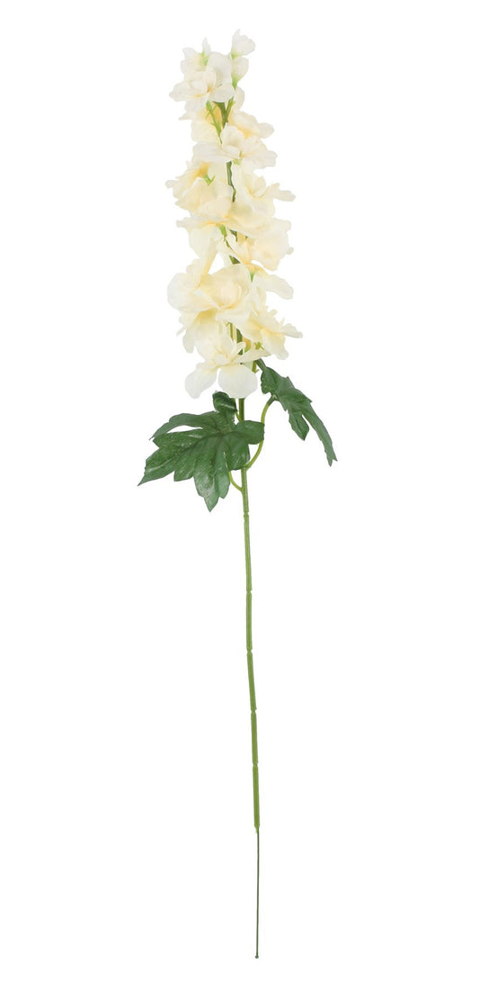 Discover the Essential Cream Arundel Garden Delphinium (77cm) at Bristow Direct