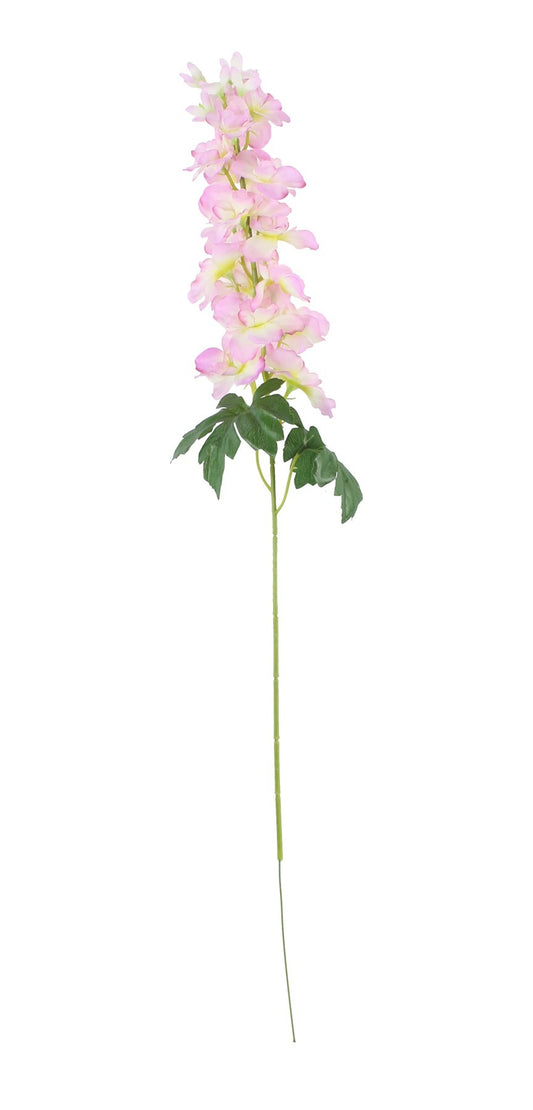 Discover the Essential Cream Pink Arundel Garden Delphinium (77cm) at Bristow Direct