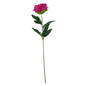 Essential Cerise Arundel Garden Peony (57cm)