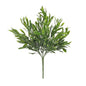 Exterior Everlast Olive plant U.V