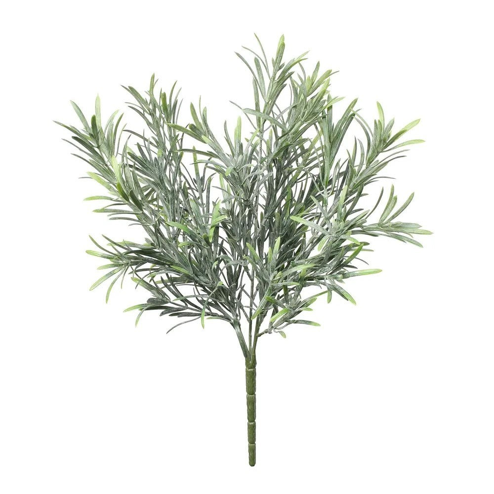 Exterior Everlast Rosemary plant U.V