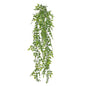 Green Exterior Everlast Ruscus Trailing Plant