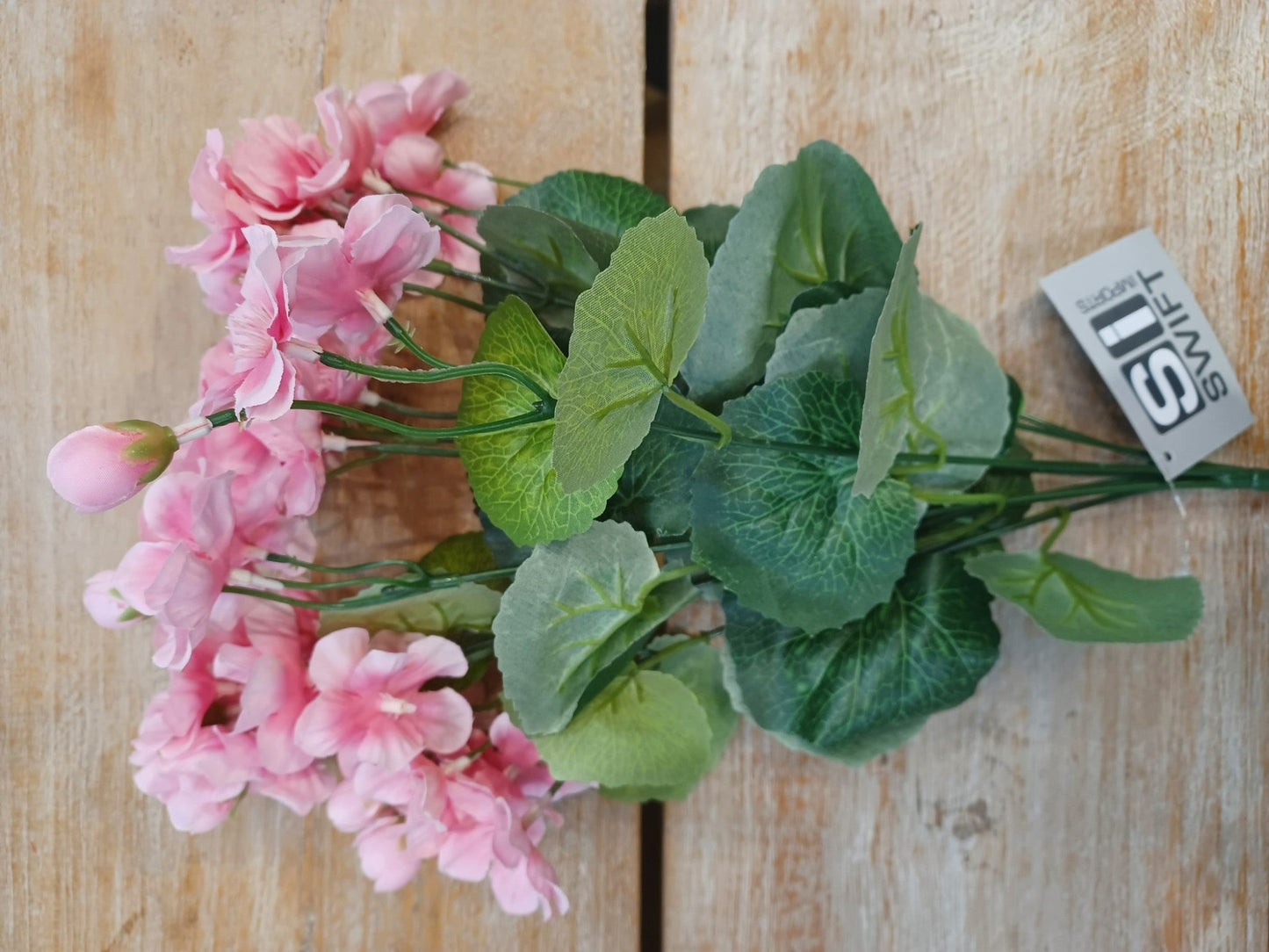 Pink Geranium Bush (30cm)