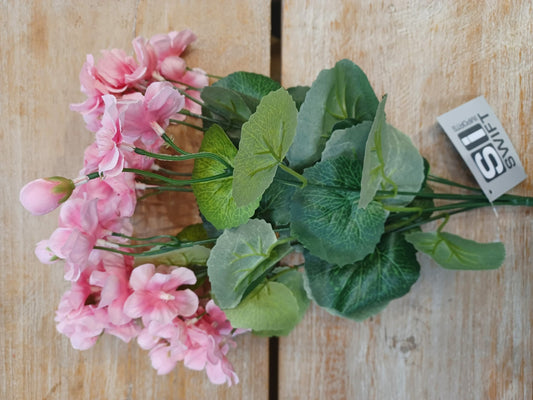Pink Geranium Bush