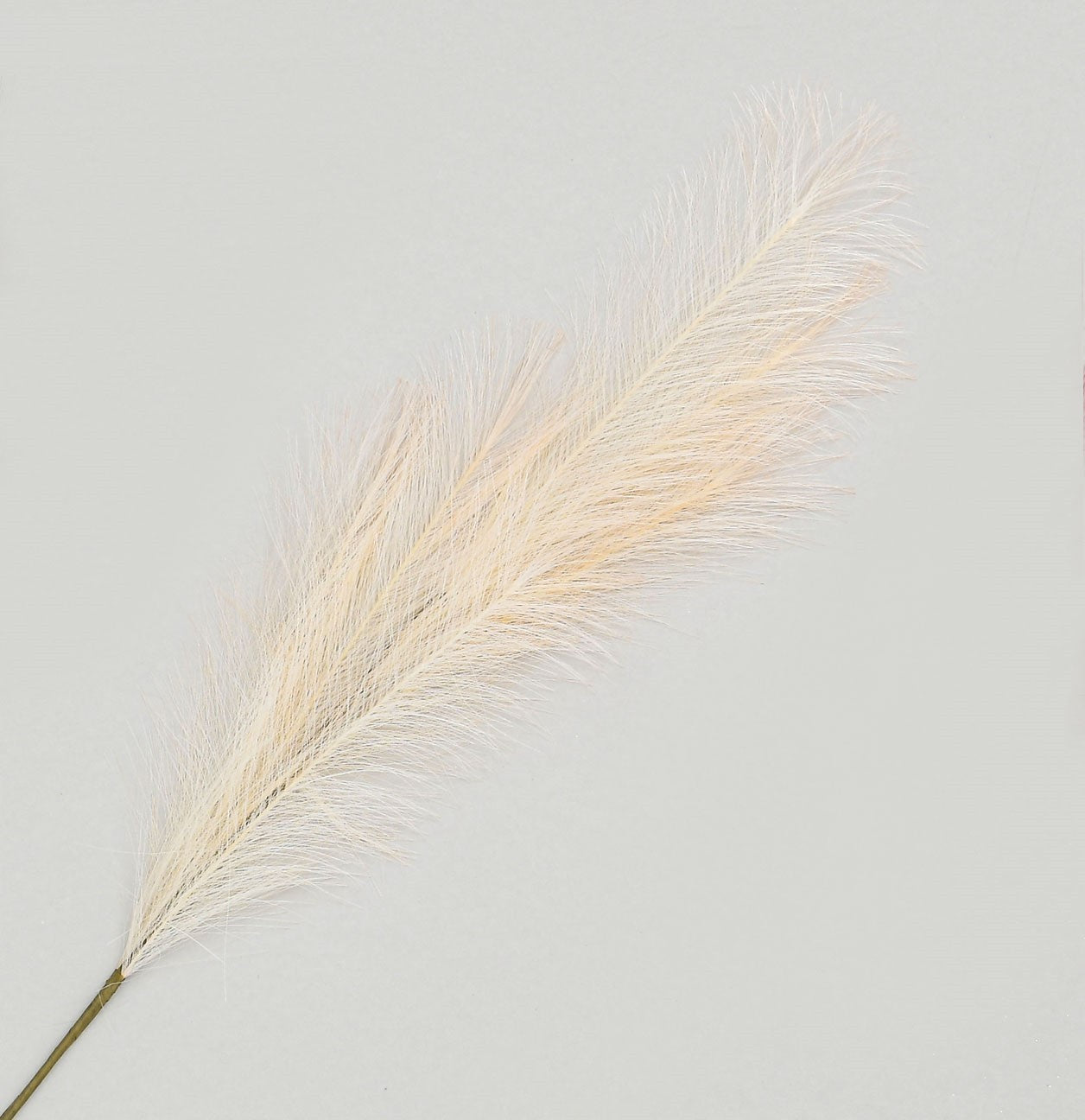 Cream Reed Grass Spray (96cm)