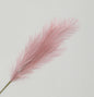 Pink Reed Grass Spray (96cm)