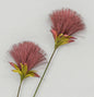Burgundy PomPom Spray (72cm)