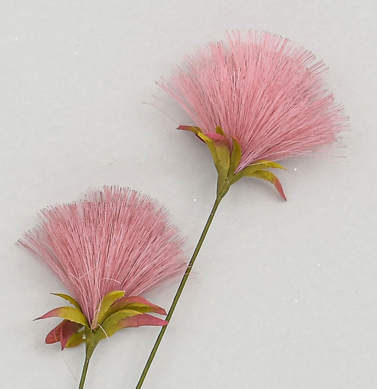 Pink PomPom Spray (72cm)
