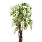 Cream Wisteria Potted Tree (5ft)