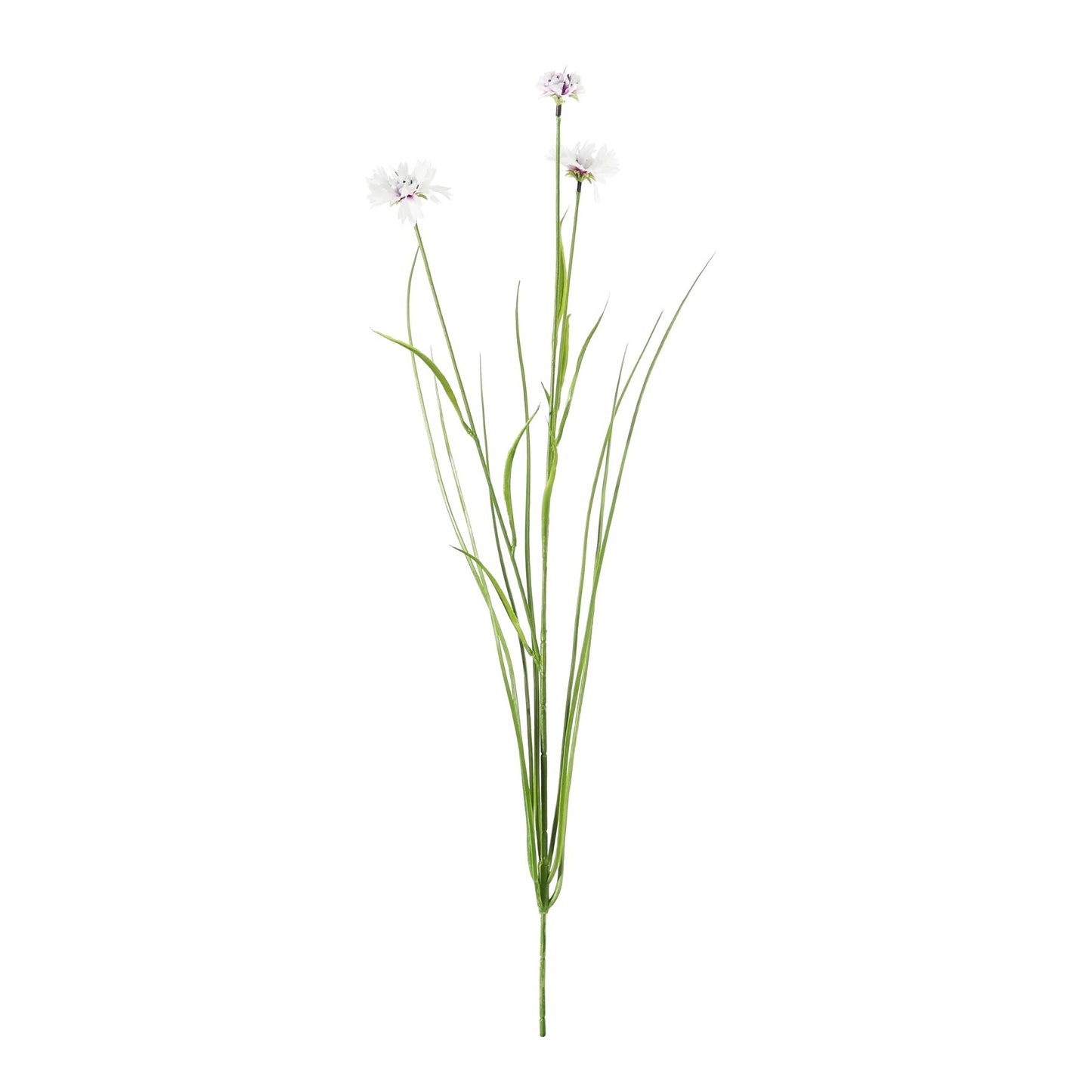Botanica White Cornflower