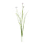 Botanica White Cornflower