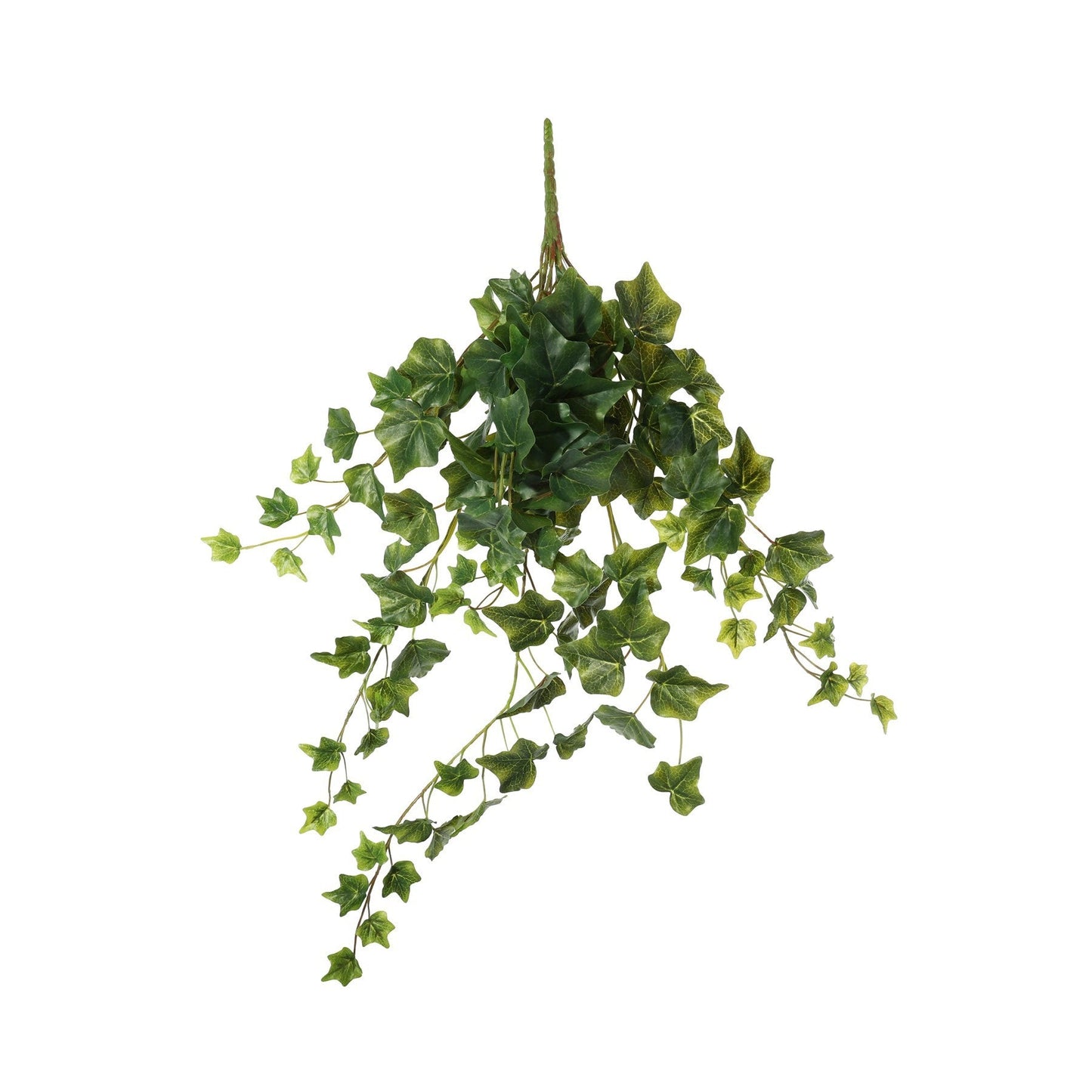 Green English Ivy Hanger (71cm)
