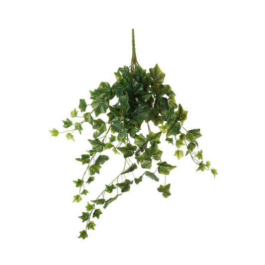 Green English Ivy Hanger (71cm)