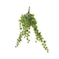 Green Variegated Ivy Hanger (64cm)