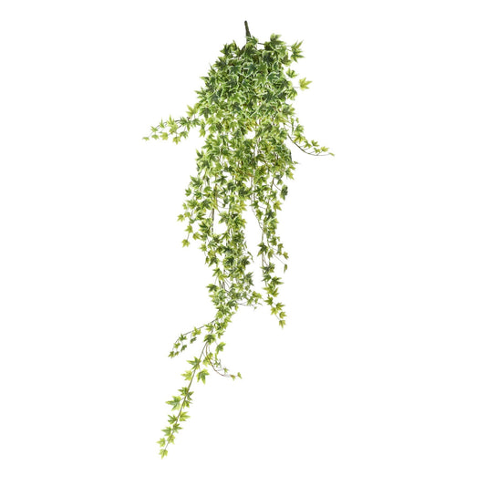 Green Variegated Ivy Hanger (120cm)