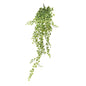 Green Variegated Ivy Hanger (120cm)