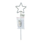 Silver Starlight Pick