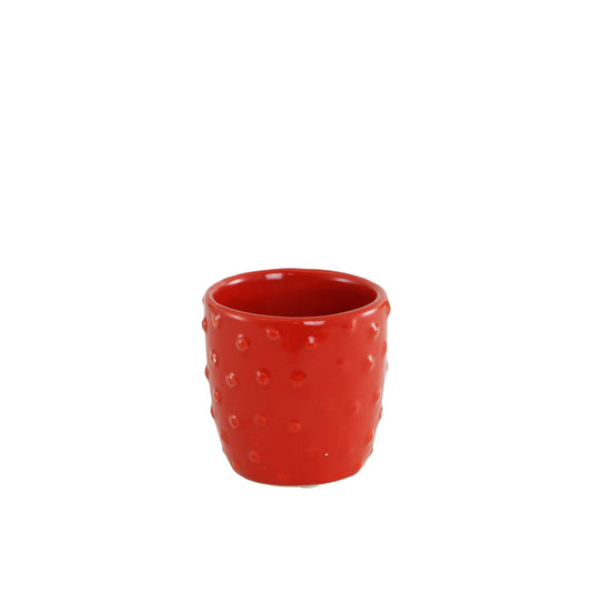 Discover the Red Fruit Face Plant Pot at Bristow Direct