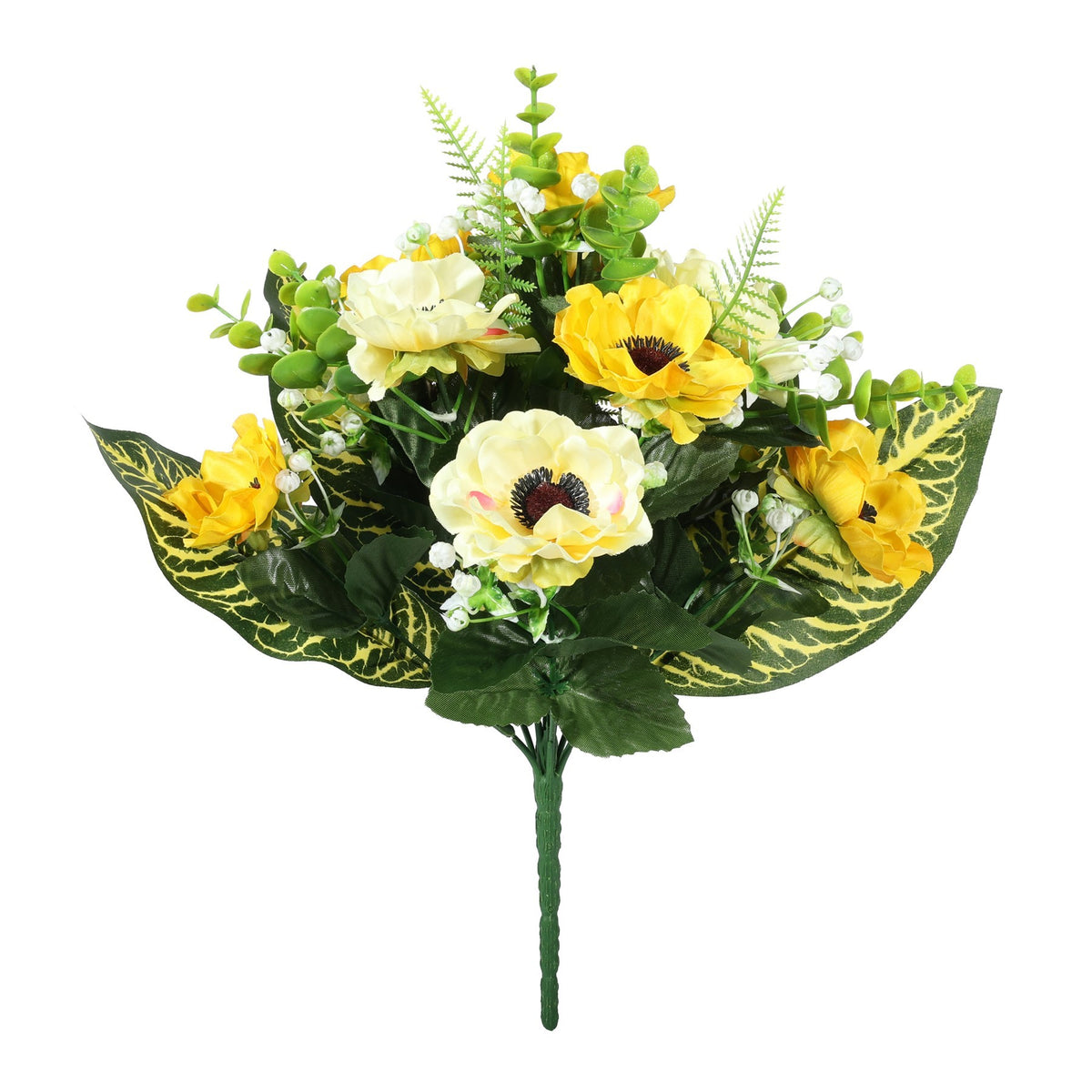 Discover the Pembroke Yellow Anemones Bunch (9 Stems) at Bristow Direct