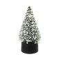Discover the Green Pine Tree with White Berries (20cm) at Bristow Direct