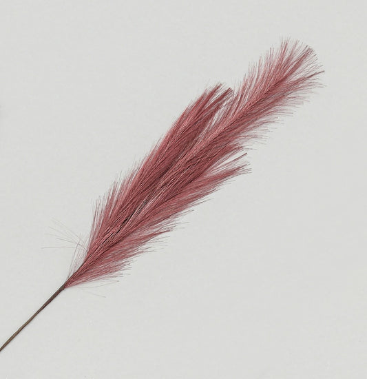 Discover the Burgundy Pampas Grass Spray (82cm) at Bristow Direct