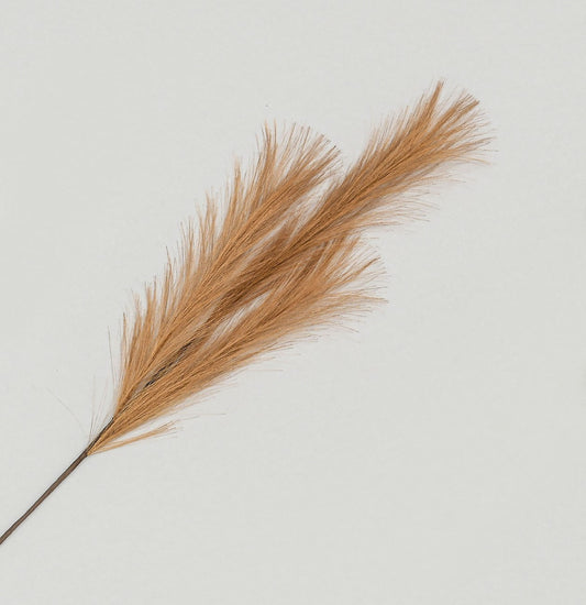 Discover the Copper Pampas Grass Spray (82cm) at Bristow Direct