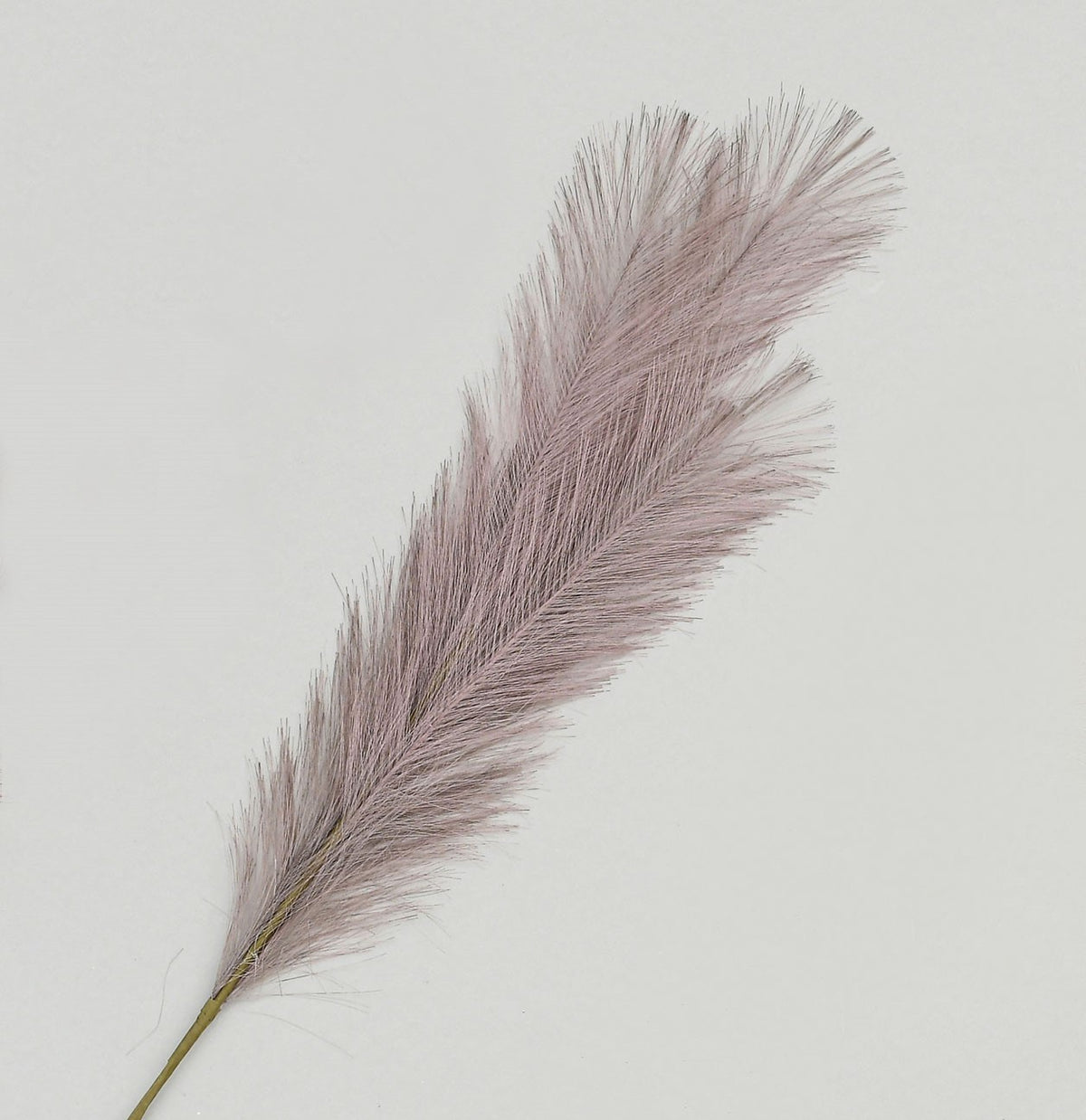 Discover the Lavender Pampas Grass Spray (96cm) at Bristow Direct