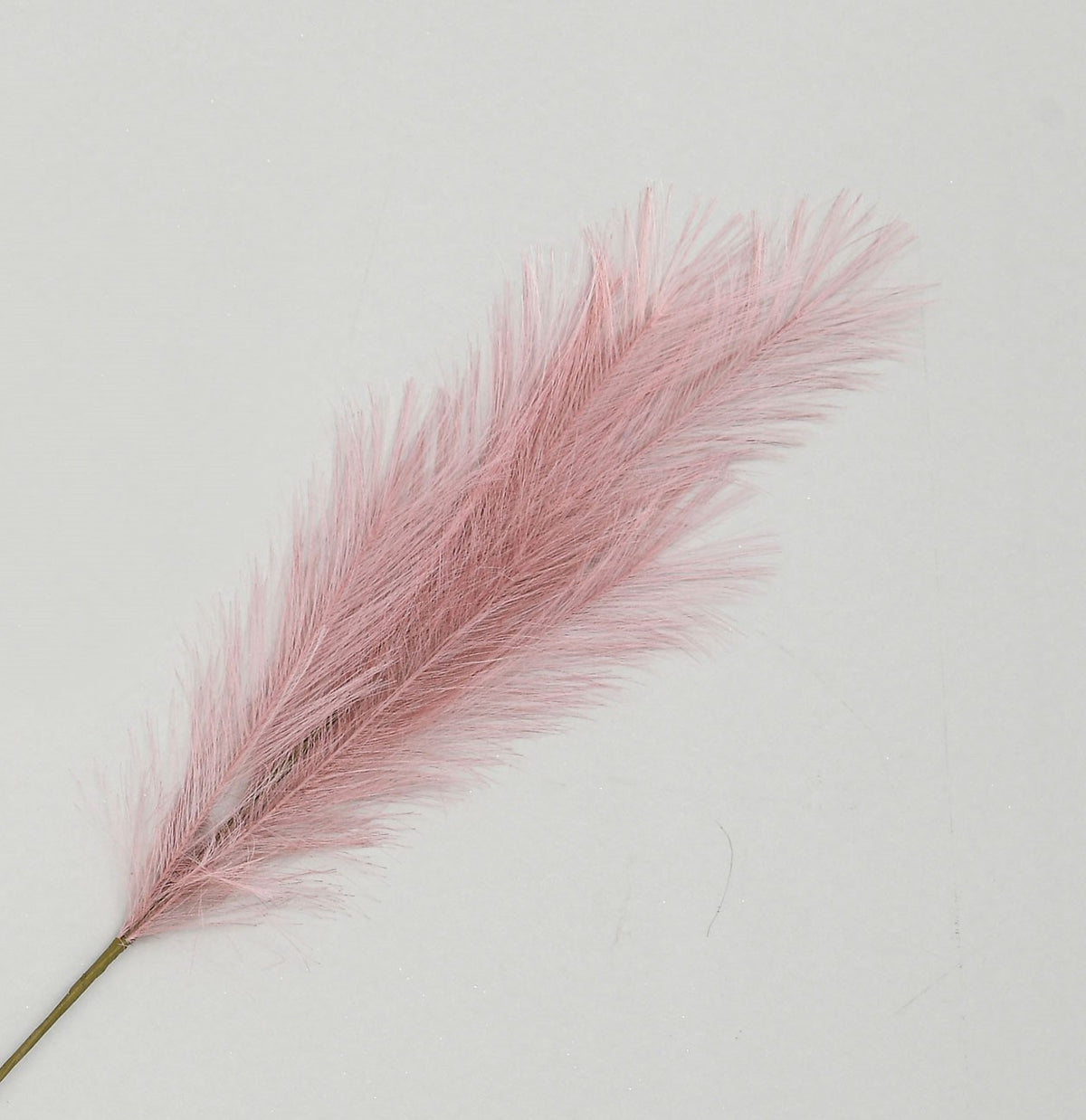 Discover the Pink Reed Pampas Grass (96cm) at Bristow Direct