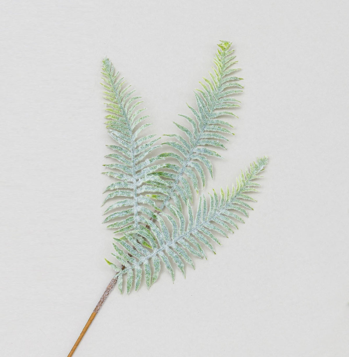Discover the Green Winter Frosted Fern Spray (60cm) at Bristow Direct