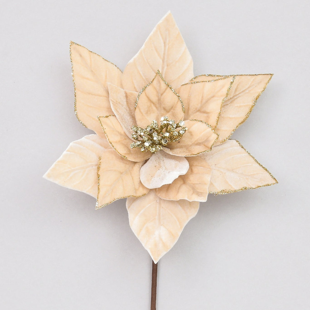 Discover the Champagne Velvet Poinsettia (62cm) at Bristow Direct