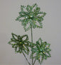 Discover the Green Glitter Poinsettia Pick (36cm) at Bristow Direct