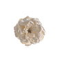 Discover the Cream Rose with Clip (15cm) at Bristow Direct